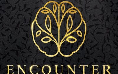 Encounter: A spiritual perspective that