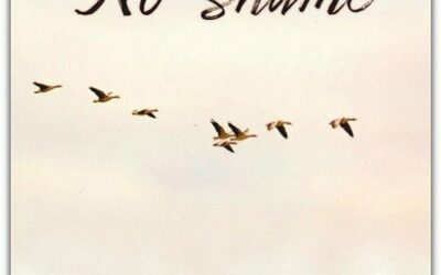 No shame: A devotional for survivors of