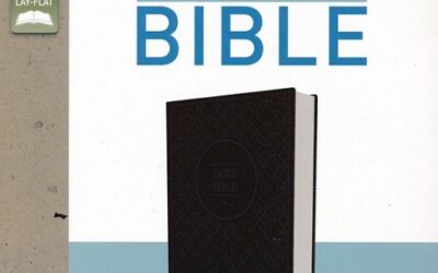 NIV –  LP Value Bible