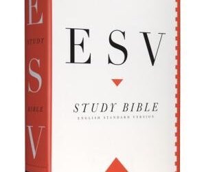 ESV – Study Bible Personal Size