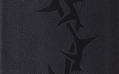 ESV – Thinline Bible