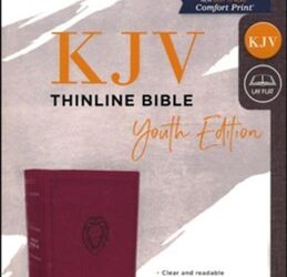 KJV – Thinline Bible Youth Edition