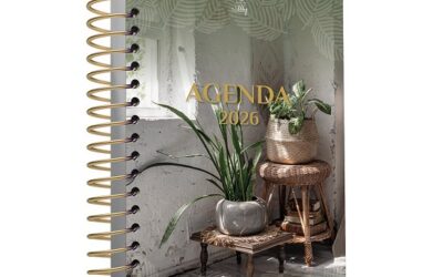 Agenda MajesticAlly