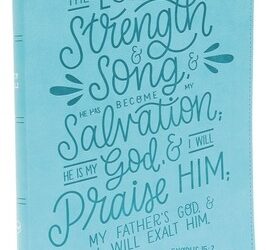 NKJV – Thinline LP Verse Art Bible
