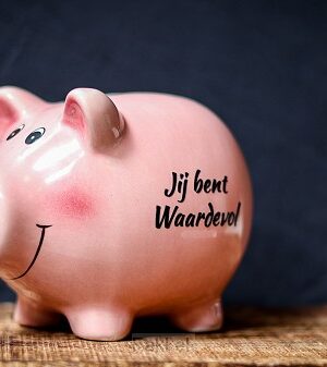 Spaarvarkentje Roze Jij bent waardevol