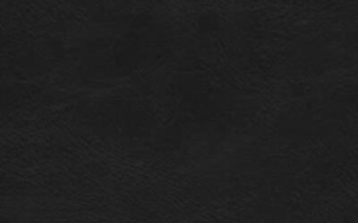 ESV – Value Compact Bible