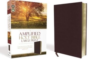 Amplified Bible