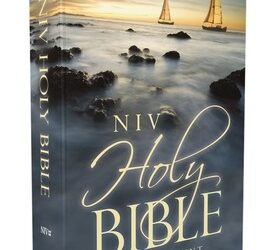 NIV – LP Bible – Comfort print