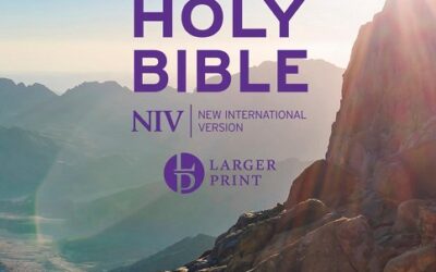 NIV – Larger Print Value Bible