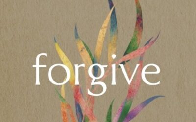 Forgive