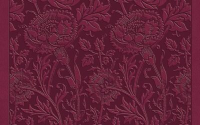 ESV – Value Compact Bible