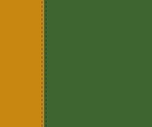 ESV – Thinline Bible