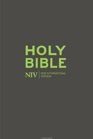 NIV Pocket Bible With Zip