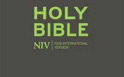 NIV Pocket Bible With Zip