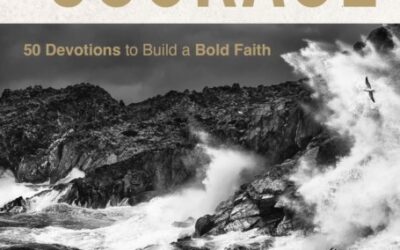 Everyday Courage: 50 Devotions