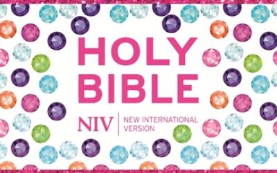 NIV Ruby Pocket Bible