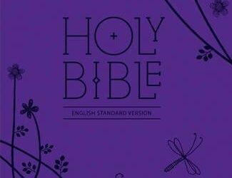 Compact Bible – Purple Leather
