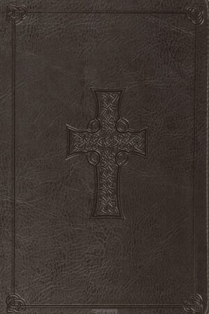 ESV - Value Thinline Bible
