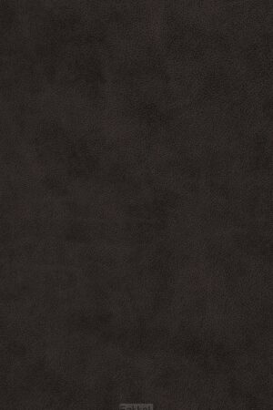ESV - LP Value Thinline Bible