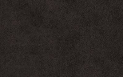ESV – LP Value Thinline Bible