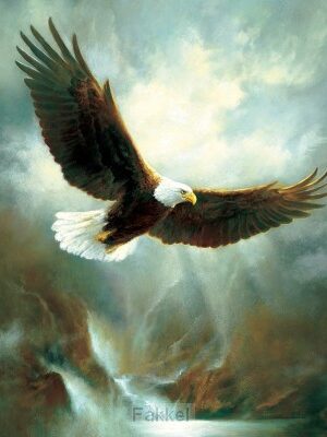 Jigsaw Puzzle 300pcs Eagle Flight 53,3x6