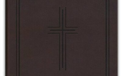 NLT – Premium Compact Bible: Filament En