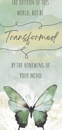 Boekenlegger Transformed