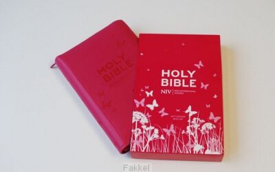 NIV – Tiny Bible with Zip