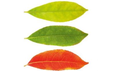 Geloven in seizoenen