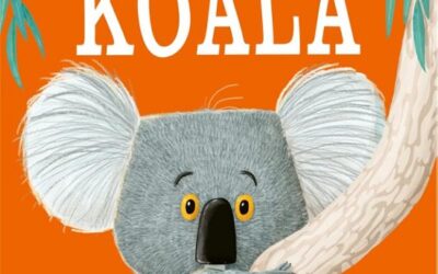 Laat maar los, koala