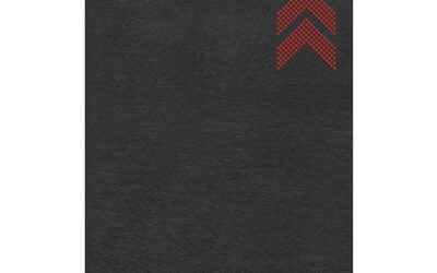 In-the-go bible, charcoal arrow