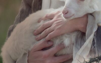 De 7 pascha’s Avondmaal van Jezus