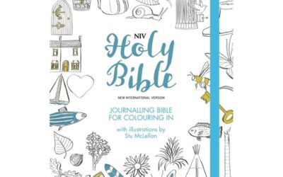 NIV Journaling Bible