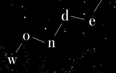 Wonder Journaling Bible