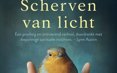 Scherven van licht