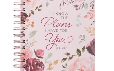 journal the plans I have for you