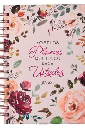 journal spanish los planes que tengo