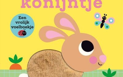 Dit kleine konijntje