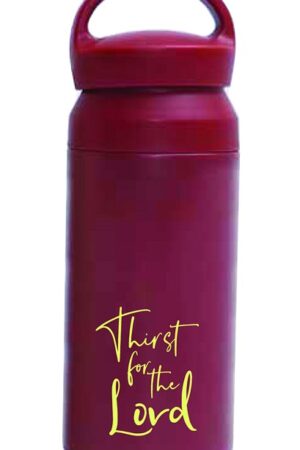 Tumbler bottle Thirst for the lord maroo