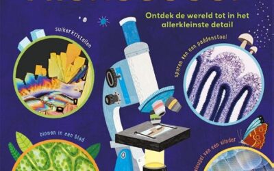 Aan de slag met de microscoop