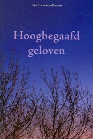 Hoogbegaafd geloven