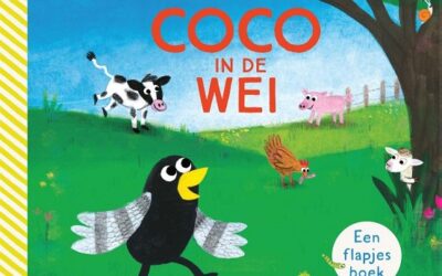 Coco in de wei