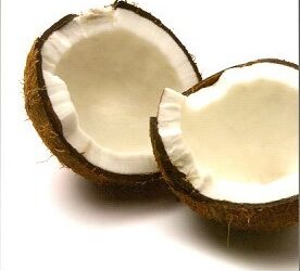 Bijbel, waarom zou je die lezen