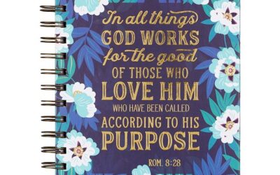 For The Good – Romans 8:28