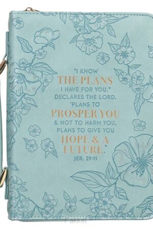 Plans to Prosper You Teal Jeremiah 29:11