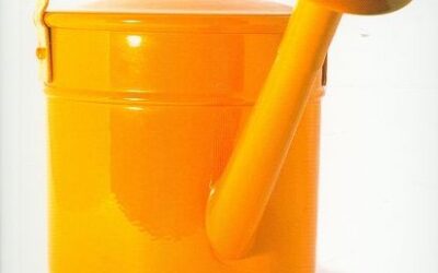 Leven, waar gaat het echt om