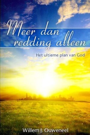 Meer dan redding alleen