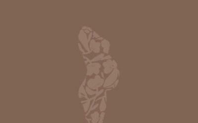 Zwangerschapsjournal