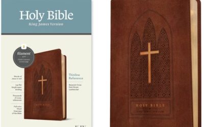 KJV – thinline reference bible RL