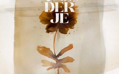 Verwonder je